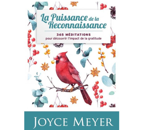 J Meyer-Puissance-Reconnaissance