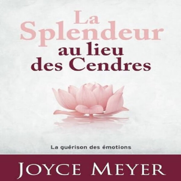 Splendeur-au-lieu-des-Cendres-JMeyer